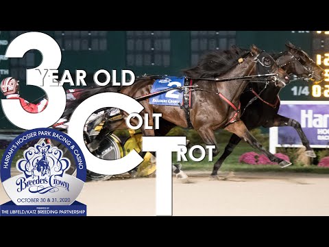 2020 Breeders Crown - Amigo Volo - 3CT