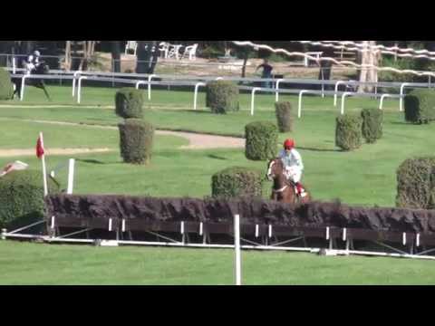 ME amatérskych jazdkýň, Prútenky šampiónov