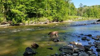 Modern English - Carry Me Down - WMMS Coffeebreak Concert Cleveland Agora 6/8/83 - track 05