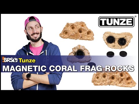 A Frag Rack That Looks Like a Rock, Because It Basically Is a Rock. Tunze Magnetic Coral Frag Rock