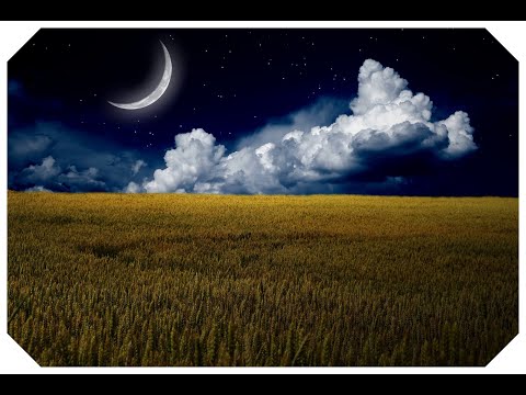 Relaxing music | Relaxing Sleep Music Deep Sleeping Music, Stress Relief, Meditation Music, asmr.