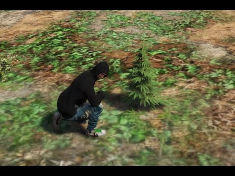 [ESX][PAID] Weed Farm thumbnail 2