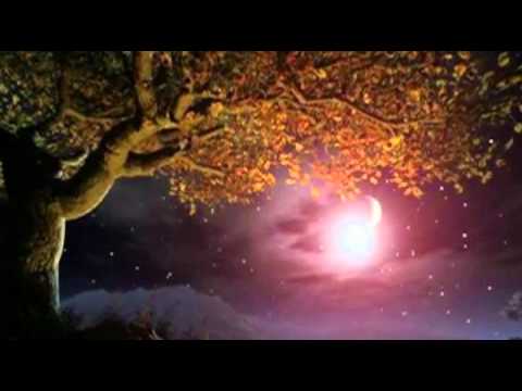 Mé pouť (My way) - Karel Gott