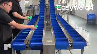 Boost Efficiency with the Easyweigh Double-Layer Weight Grader