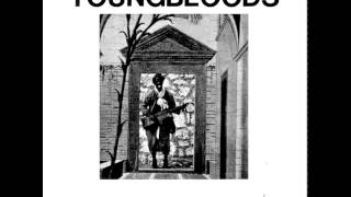 The Youngbloods - Sugar Babe (live)