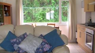 Anemone, 20 Trewent Park