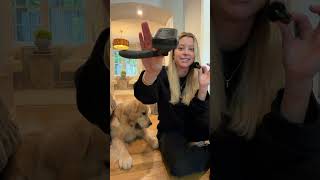 our fav products!  #goldenretriever #puppy #dogmom