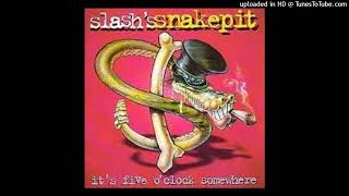 Slash's Snakepit - What Do You Want To Be