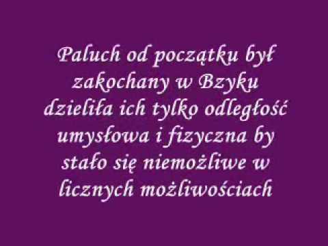 Bzyk i Paluch=możliwe