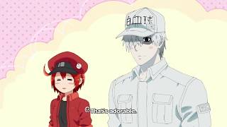 Cells at Work! Trailer 2