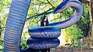 Giant Sea Creature Traps The Humans Onto An Island Filled By Monsters