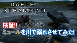 【検証】ミュールを川で溺れさせようとしたらどうなる！？【デスストランディング】