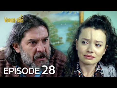 Wounded Birds | Episode 28