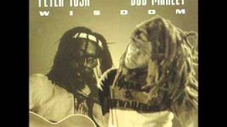 Bob Marley and Peter Tosh - Maga Dog