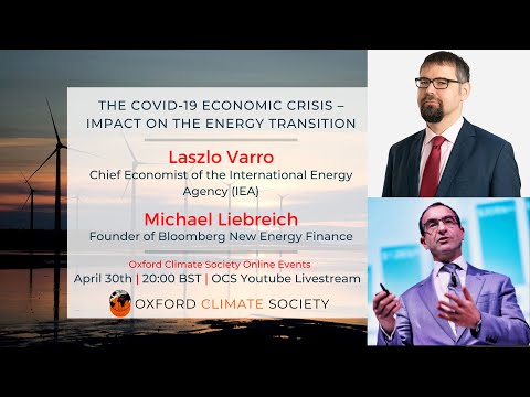 Covid-19 Economic Crisis: Impact on the Energy Transition