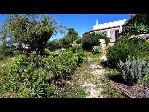Ferienhaus an der Algarve - Casa Ria