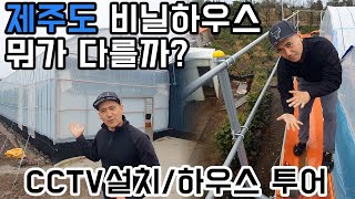 제주도 출장/제주도 하우스 어떻게 다를까요?_CCTV 설치/비닐하우스 소개! #비닐하우스 #제주도 #그린첨단…
