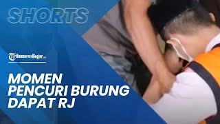 Video Pencuri Burung Menangis Saat Dapat Restorative Justice, Curi Burung Untuk Beli Susu Anak