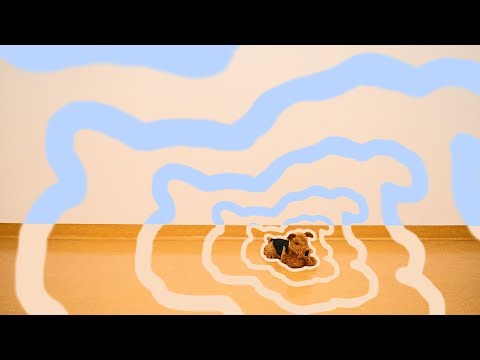 Play Video Youtube Video