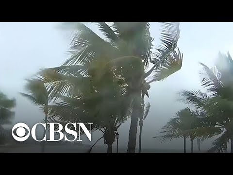 Florida braces as Tropical Storm Elsa heads for Gulf Coast