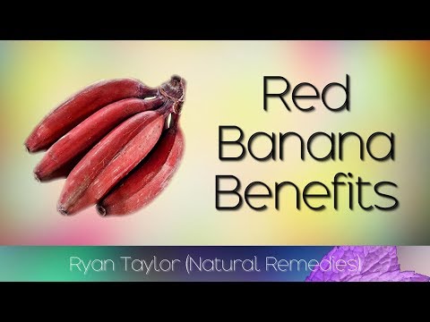 download lagu mp3 mp4 Red Banana Vs Yellow Banana, download lagu Red Banana Vs Yellow Banana gratis, unduh video klip Red Banana Vs Yellow Banana