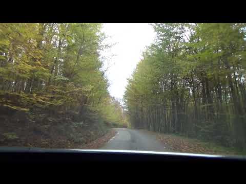 Groși Timiș, plimbare cu mașina