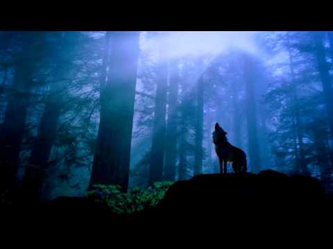 Getto Daci - Nu Ma Poti Da Jos [1999]