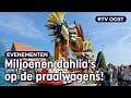 Pracht en praalwagens: dit was het bloemencorso in Sint Jansklooster! | RTV Oost