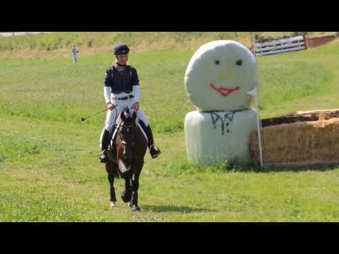 Barbara's Beau, gekörter DR-Hengst, v. Billy the King