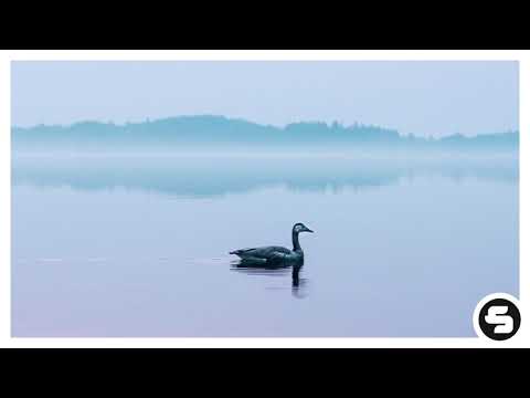 Jonas Schmidt, Fenox & Laeko feat. Mingue - Take What's Yours (KIZĒ Remix)