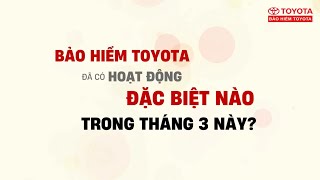 Các hoạt động đặc biệt của Bảo hiểm Toyota tại sự kiện Toyota Carnival 2024