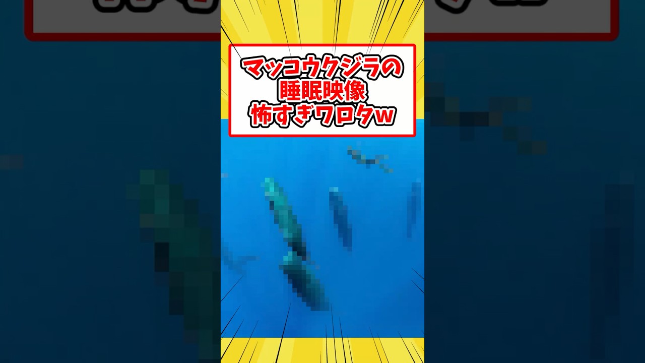 【ショート反応集】睡眠中のマッコウクジラが怖すぎるwwwww #shorts #2ch #2ch動物スレ