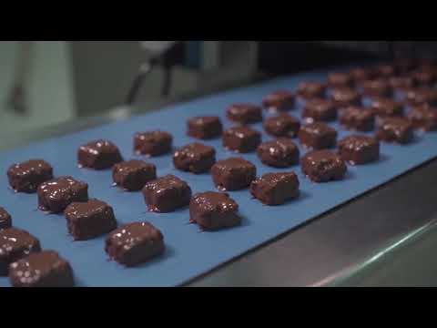 Joelle Chocolate Factory