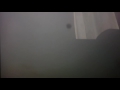Carl And Alex Fishing Video