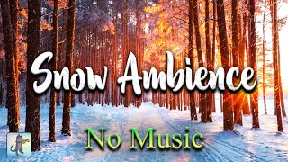 Relaxing Snowfall: COZY Winter Snow Ambience! ❄ Blizzard Storm Sounds & Heavy Snow (NO MUSIC)