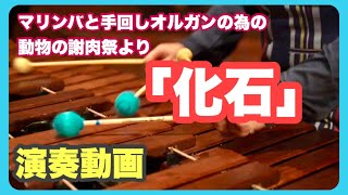 Download lagu 【演奏＆解説】動物の謝肉祭「化石」#マリンバ #サンサーンス #没後100年 mp3