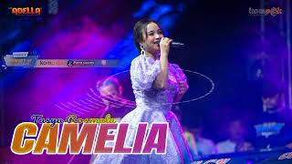 Download lagu Tasya Rosmala - Camelia || Live konser musik ambyar viral terbaru tiktok mp3