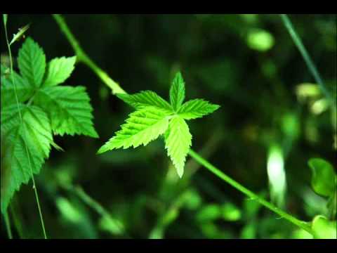 OST Cinderella's Sister - After Discarding the Heart - Byul