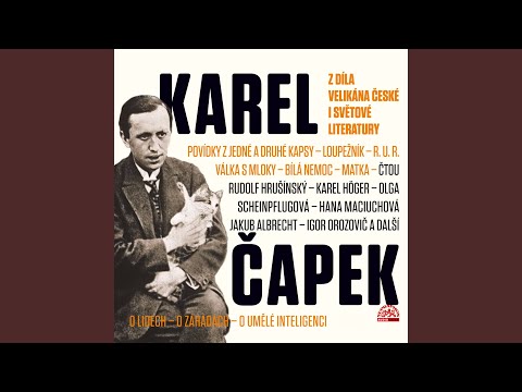 Historie dirigenta Kaliny (z Povídek z druhé kapsy)