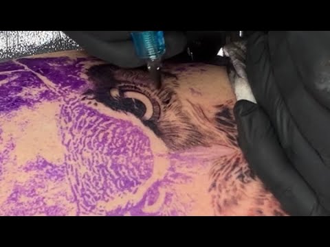 ????COMO TATUAR un búho realista / tatuaje en sombras