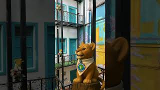 Visiting Hostel Casa CarpeDM in Quito, Ecuador