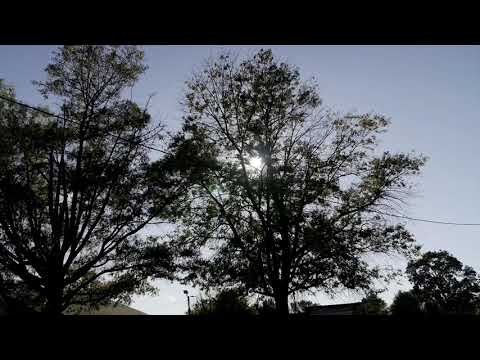 Billachecc - COUNTED OUT feat. (TrueKash & Mooley Mike) Official Video