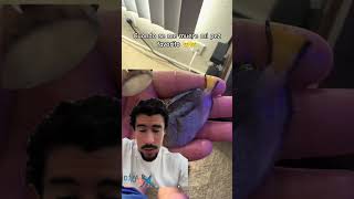 #acuario #peces #viralvideo #aguasalada #dory