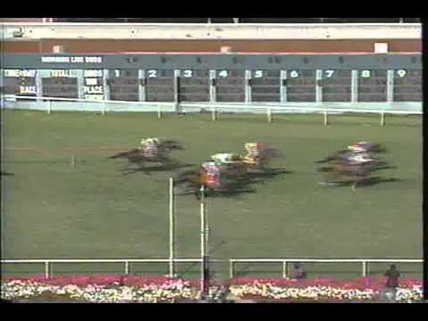 1992 John Henry Handicap - Notorious Pleasure over Marquetry