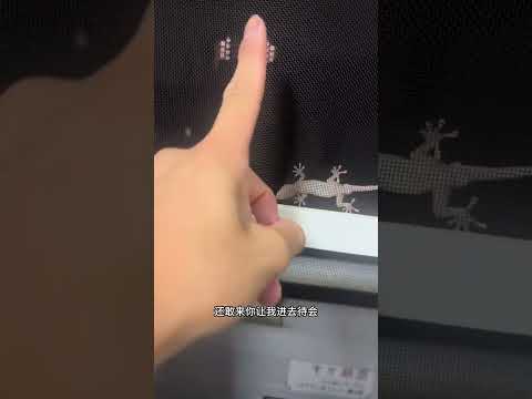 不屈不挠的小壁虎！ #無聊的時候 #搞笑 #funny