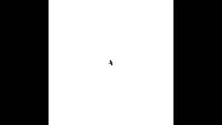 Mondkopf - Weird Horizons