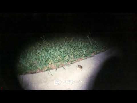 DJ Krops - Mix #4 (Makes Sense, Golden, Temple)