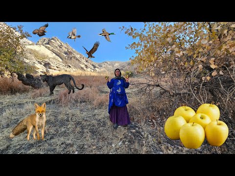 Mysterious Mountains⛰️🦁: Taban in search of tree apples 🍎🍏