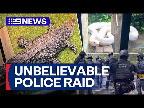 Shocking police raid uncovers exotic reptile farm and cannabis lab | 9 News Australia