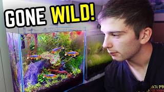 I Let Nature Take Over This Planted Tank...